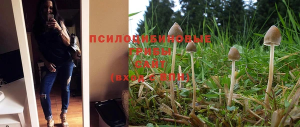 каннабис Абаза