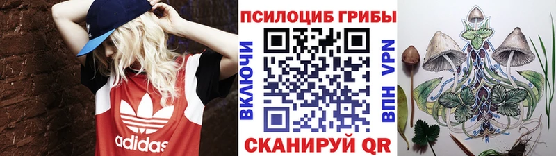 Псилоцибиновые грибы ЛСД  наркошоп  мега онион  Питкяранта 